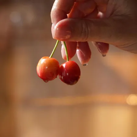 بيت للعطل Horizon #p1, Milies