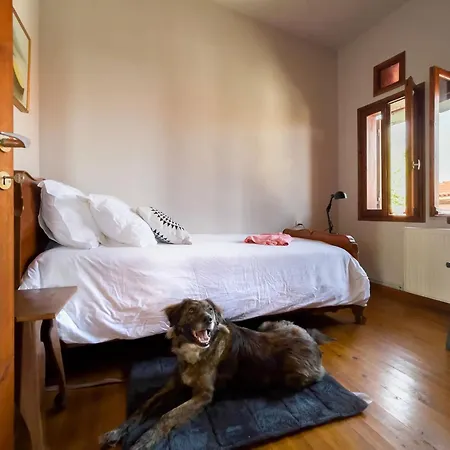 Horizon #p1, Milies بيت للعطل *