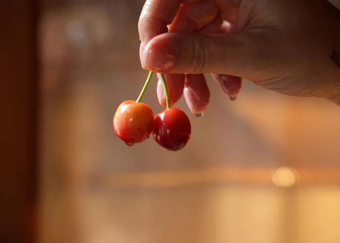 Case de vacanță Horizon #p1, Milies