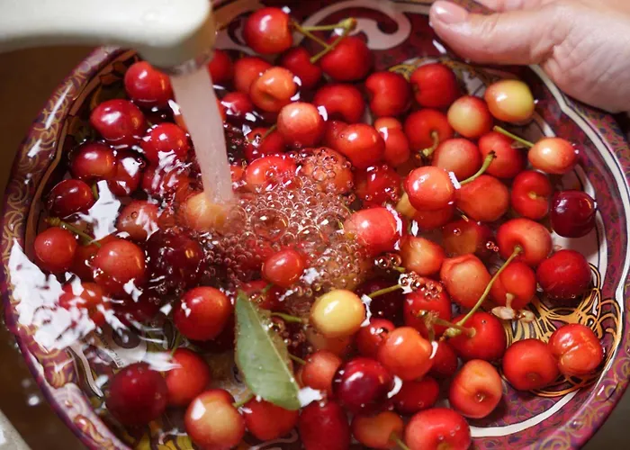 Horizon #p1, Milies Case de vacanță *